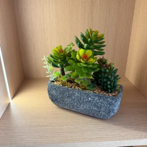 DR0158 (3) profile - Lifelike Succulent Arrangement