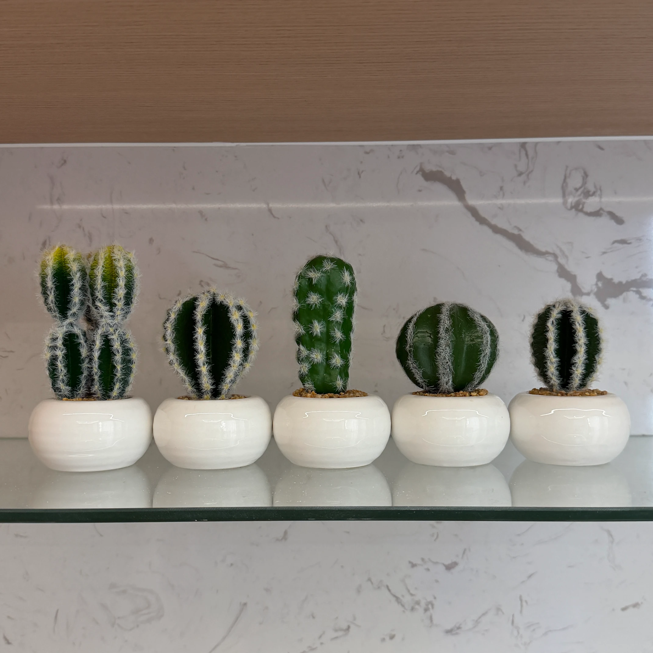 DR0159 (10) - Modern Fake Succulent Gift