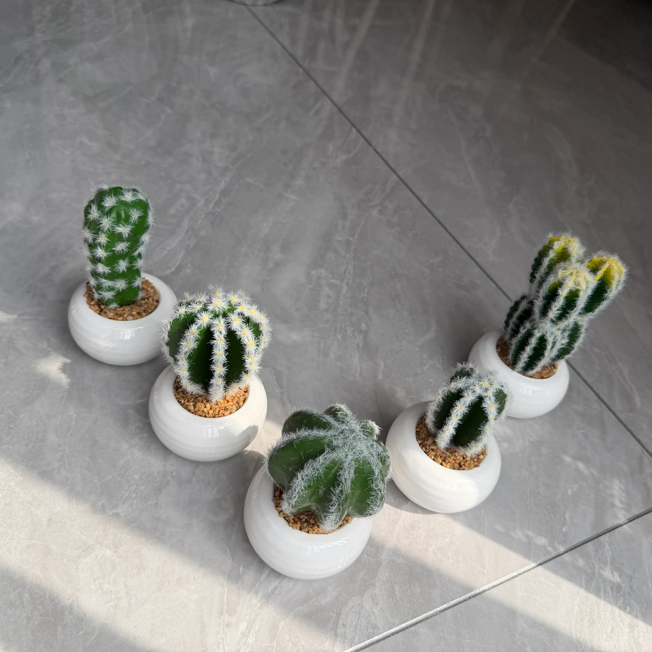 DR0159 (12) - Modern Fake Succulent Gift