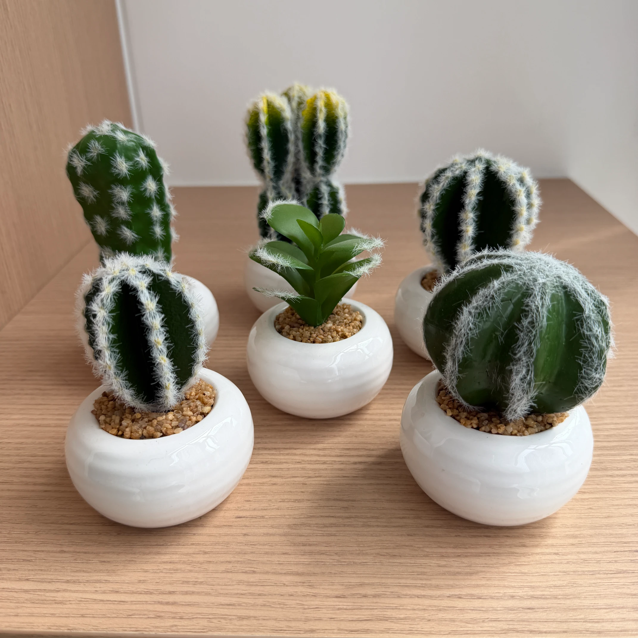 DR0159 (15) profile - Modern Fake Succulent Gift