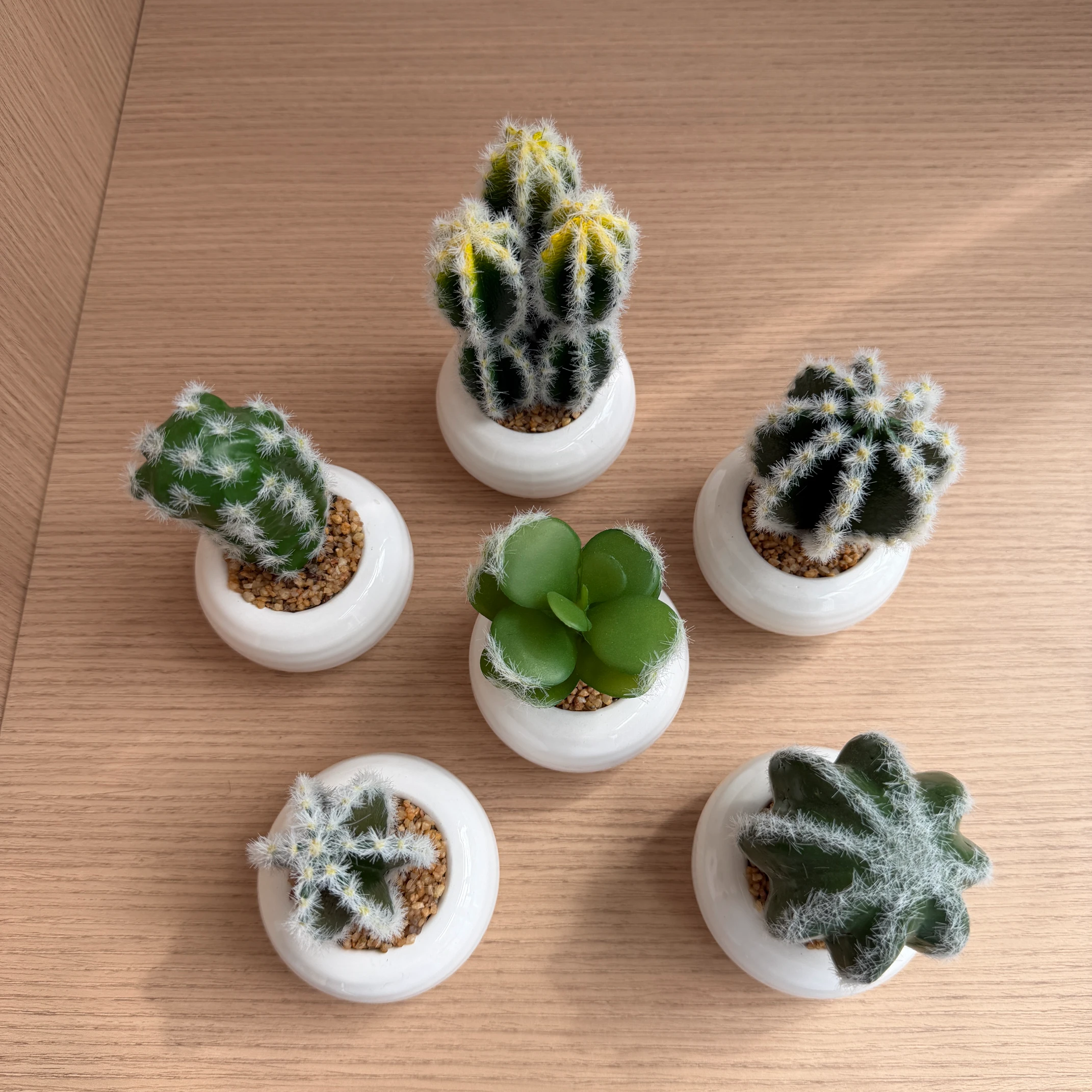 DR0159 (17) - Modern Fake Succulent Gift