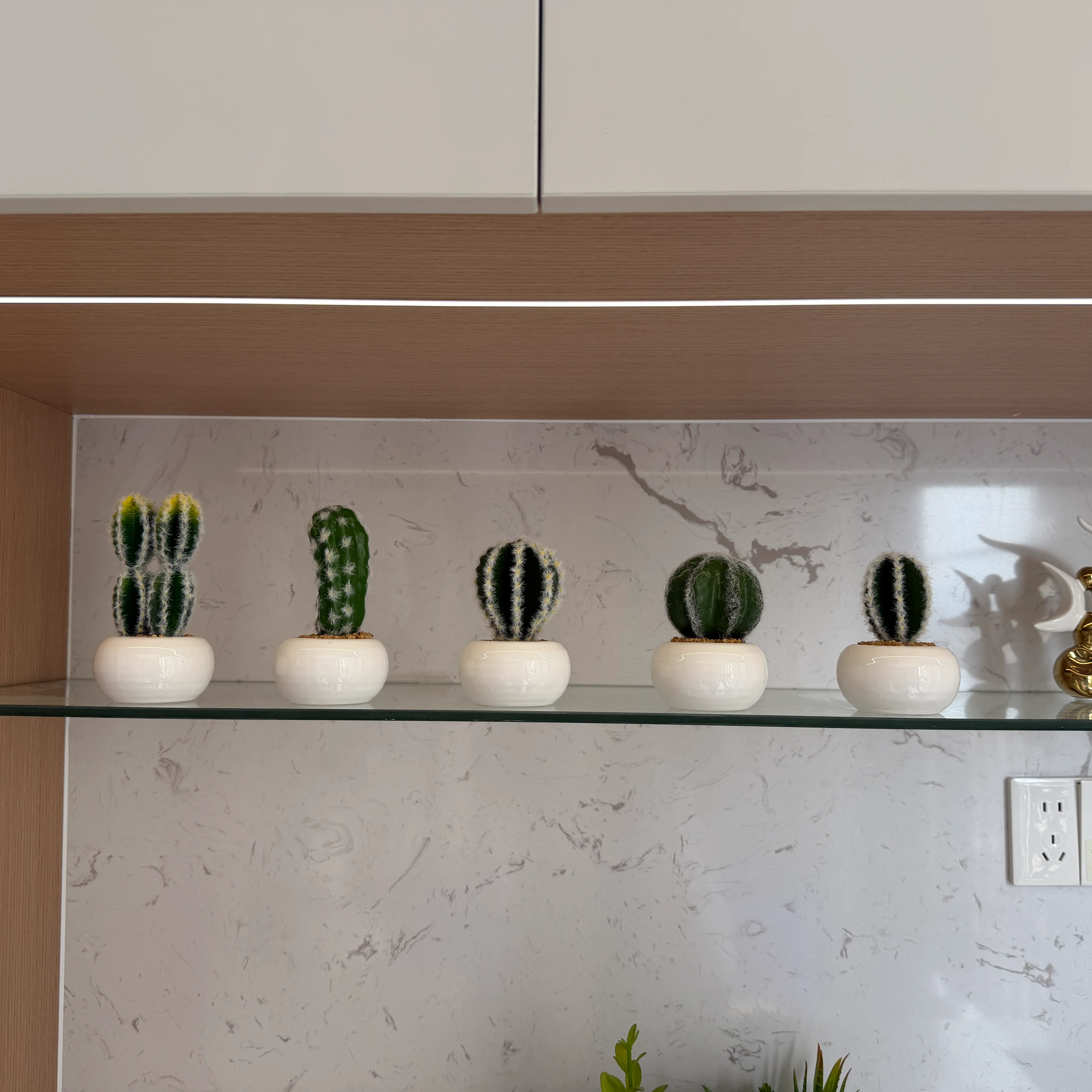 DR0159 (18) - Modern Fake Succulent Gift