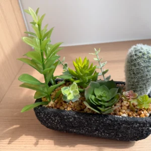 DR0160 (1) profile - Artificial Succulent Home Decor