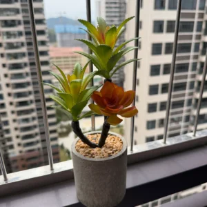 DR0164 (1) profile - Faux Succulent Shelf Decor