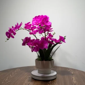 HD0021 (1) profile - Luxury Artificial Fuchsia Phalaenopsis Orchid Arrangement