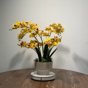 HD0022 (1) profile - Luxury Artificial Yellow Phalaenopsis Orchid Arrangement