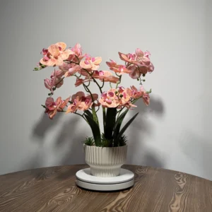 HD0023 (1) profile - Luxury Artificial Blush Pink Phalaenopsis Orchid Arrangement