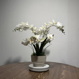 HD0025 (1) profile - Luxury Artificial Pure White Phalaenopsis Orchid Arrangement