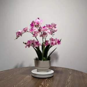 HD0026 (1) profile - Luxury Artificial Light Pink Phalaenopsis Orchid Arrangement