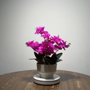HD0028 (1) profile - Luxury Artificial Fuchsia Phalaenopsis Orchid Arrangement