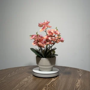 HD0030 (1) profile - Realistic Peach Pink Phalaenopsis Artificial Orchid