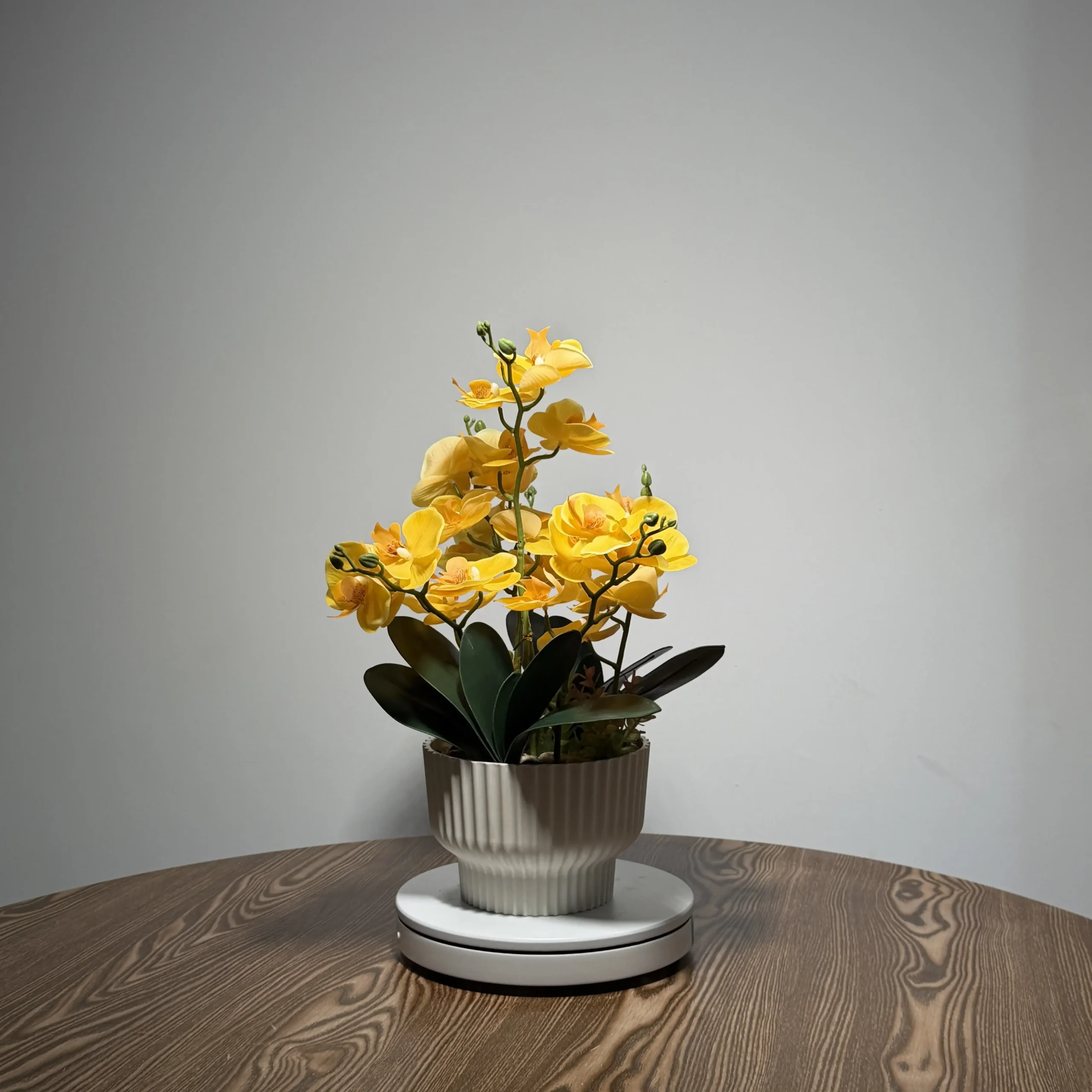 HD0031 (2) - Luxury Golden Yellow Artificial Orchid Bonsai