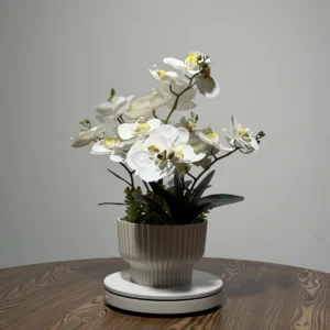 HD0032 (1) profile - Elegant White Artificial Phalaenopsis Orchid