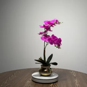 HD0034 (1) profile - Bold Magenta Artificial Phalaenopsis Orchid