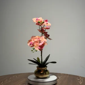 HD0036 (1) profile - Soft Pink-Orange Artificial Phalaenopsis Orchid