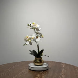 HD0039 (1) profile - Pristine White Artificial Phalaenopsis Orchid