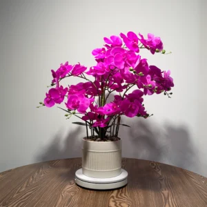 HD0040 (1) profile - Bold Magenta Artificial Orchid Plant