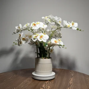 HD0042 (2) profile - Pristine White Artificial Orchid Plant