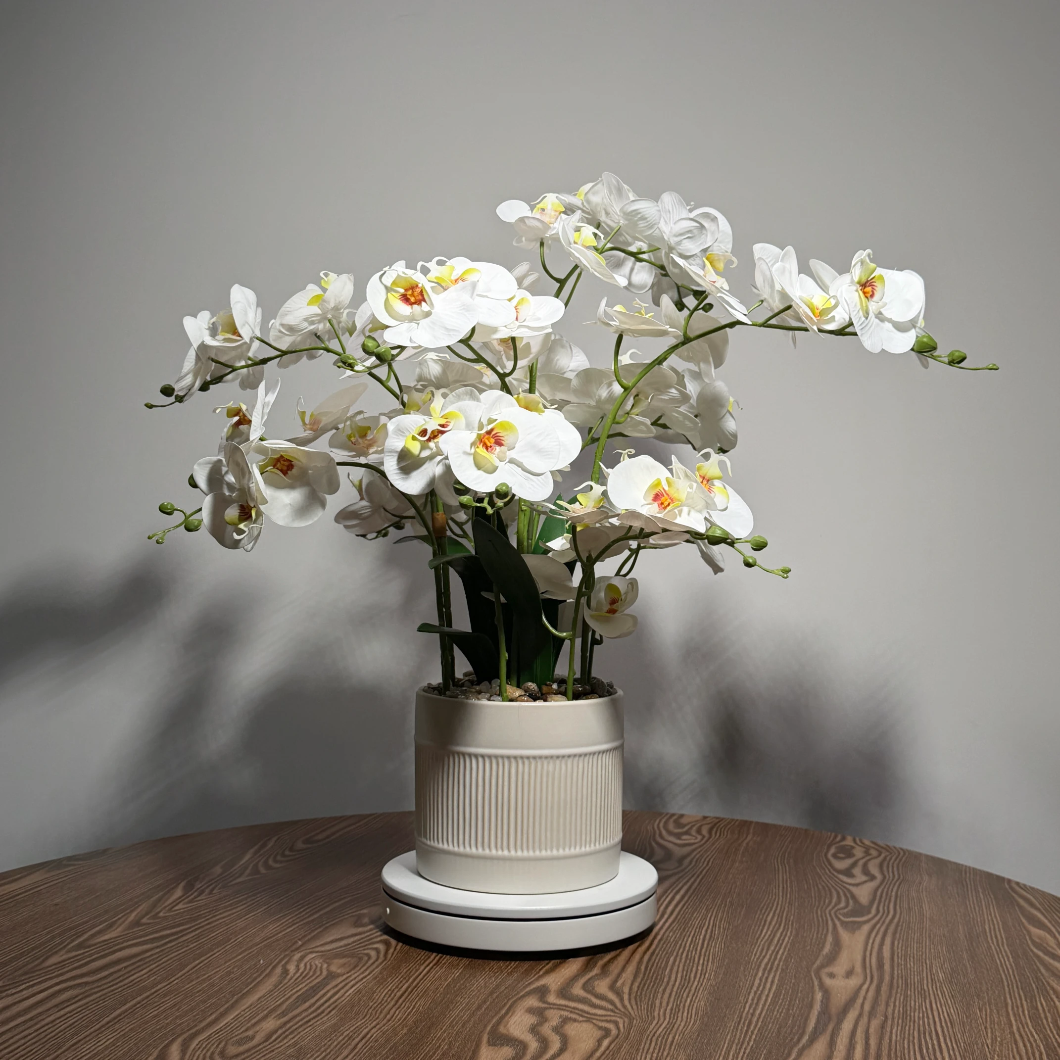 HD0042 (2) profile - Pristine White Artificial Orchid Plant