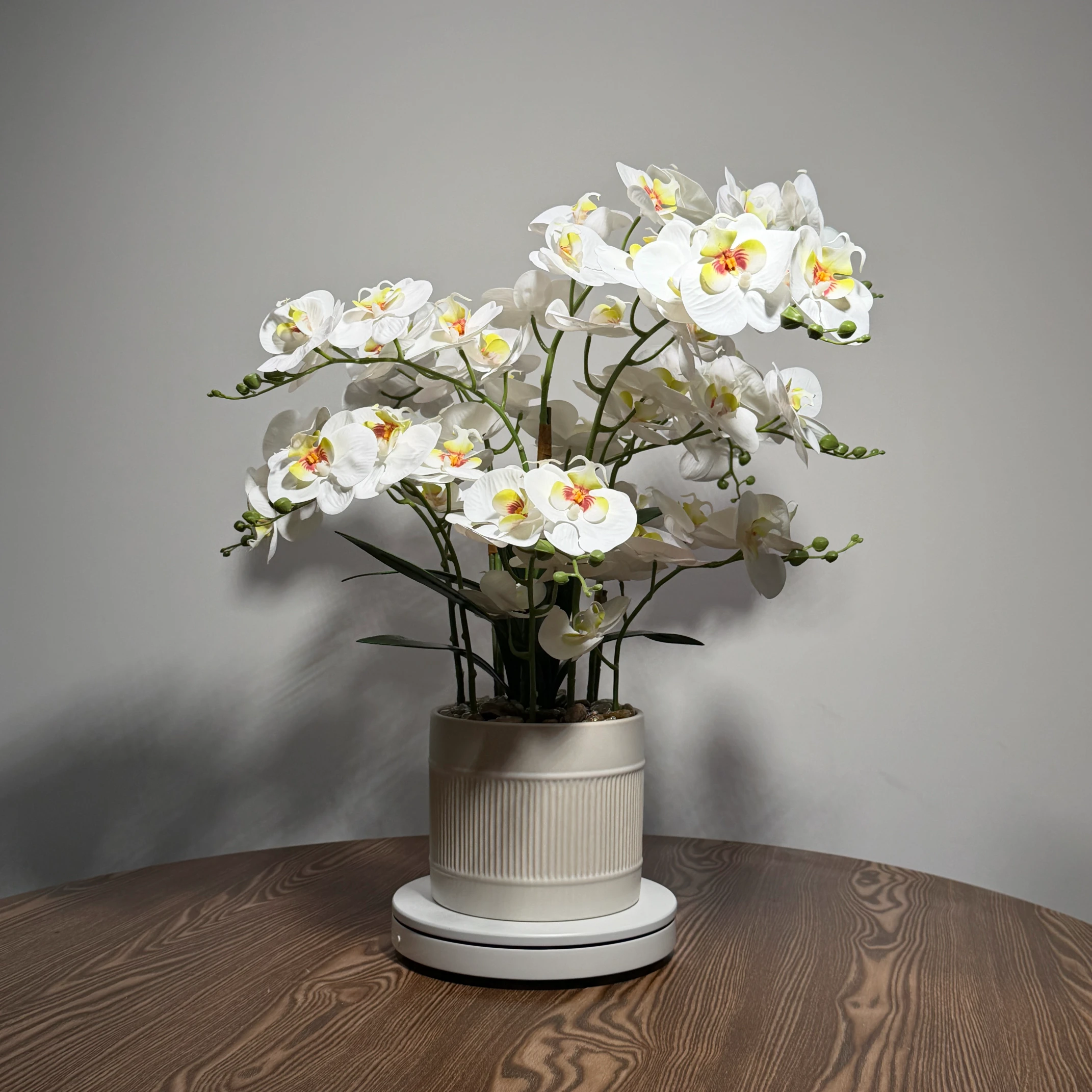 HD0042 (3) - Pristine White Artificial Orchid Plant