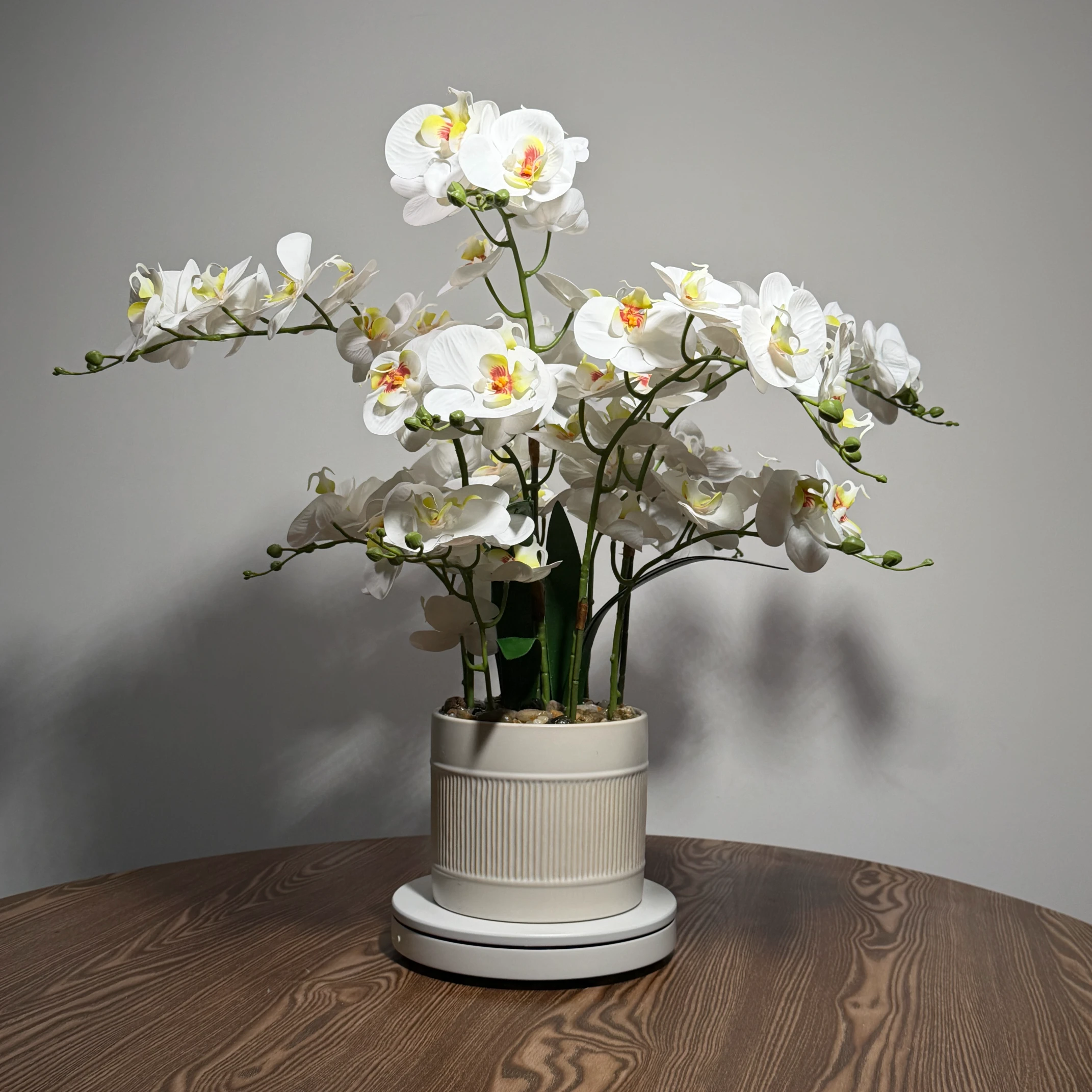 HD0042 (5) - Pristine White Artificial Orchid Plant