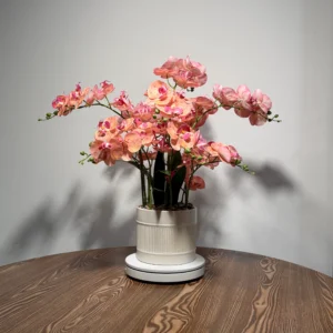 HD0044 (1) profile - Pink-Orange Artificial Orchid Plant