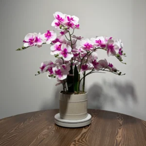 HD0046 (2) profile - Pink-White Artificial Orchid Plant