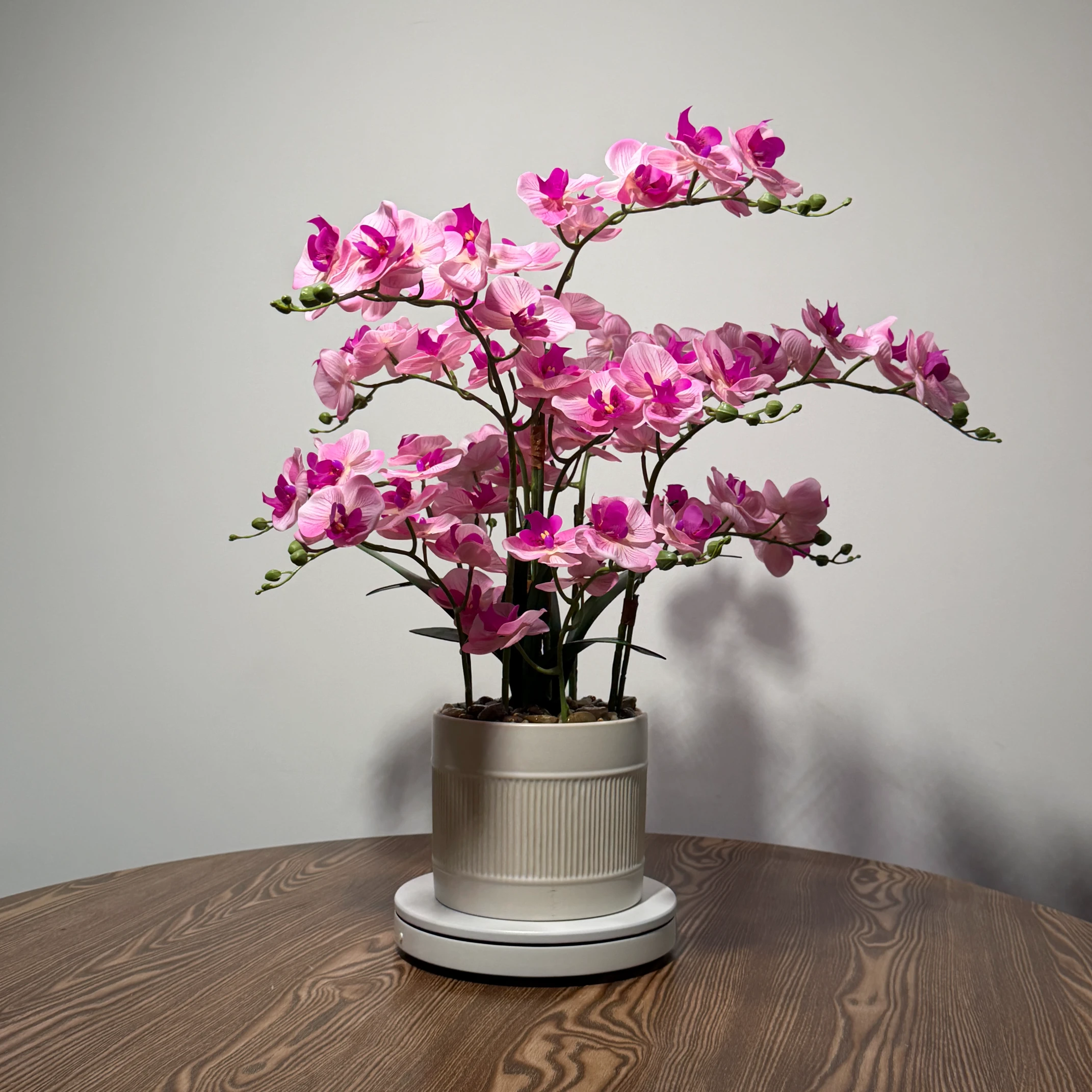 HD0047 (1) - Dusty Pink Artificial Orchid Plant