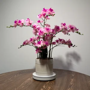 HD0047 (2) profile - Dusty Pink Artificial Orchid Plant