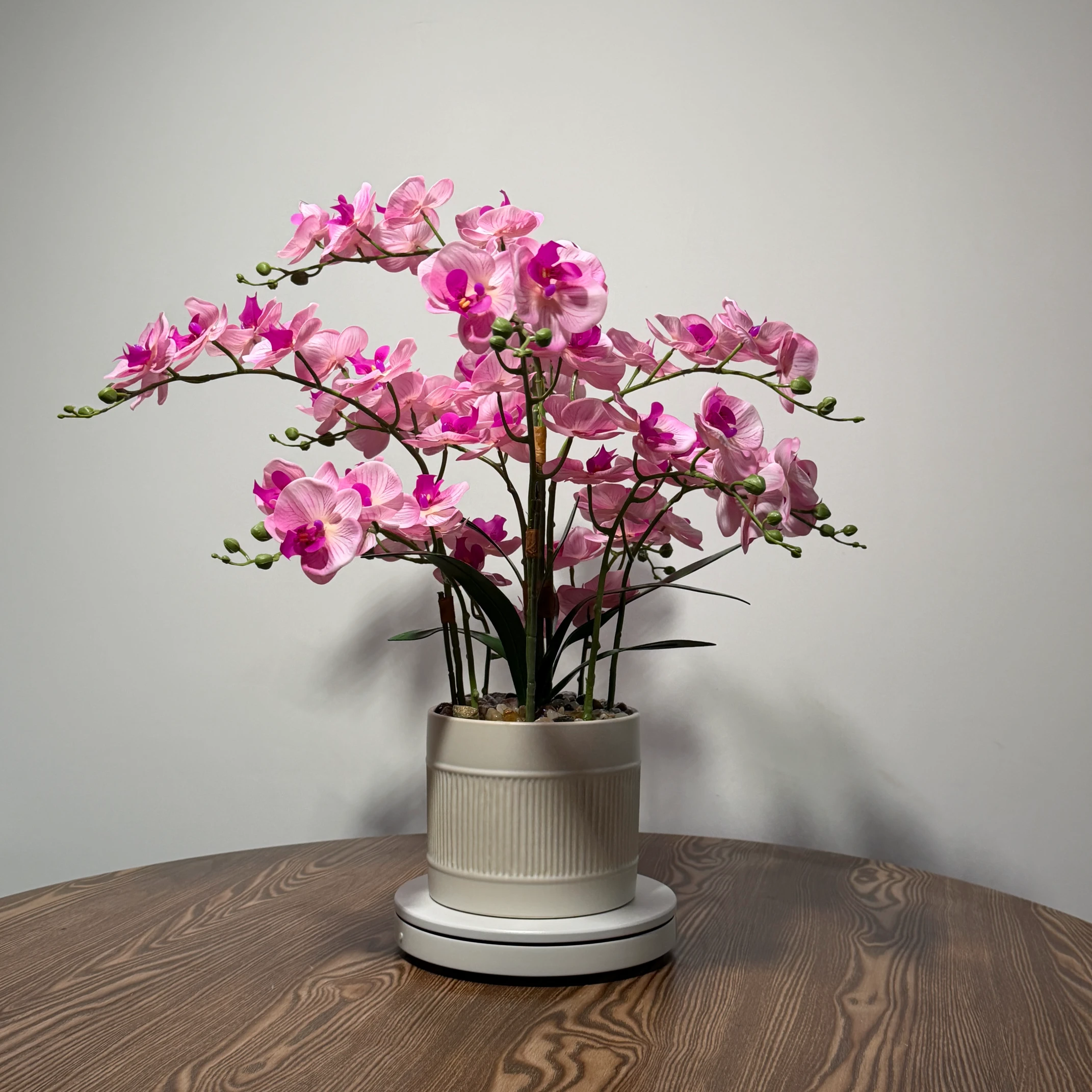 HD0047 (4) - Dusty Pink Artificial Orchid Plant