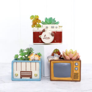KT0002 (4) profile - Retro Electronic Resin Succulent Planter Set