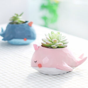 KT0015 (5) profile - Cute Zoo Animal Resin Succulent Planter Set
