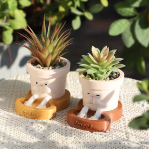 KT0026 (1) profile - Cute Smiling Face Resin Succulent Planter Set