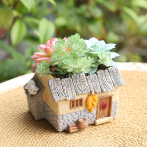 KT0028 (3) profile - Whimsical Resin Succulent Planter Set