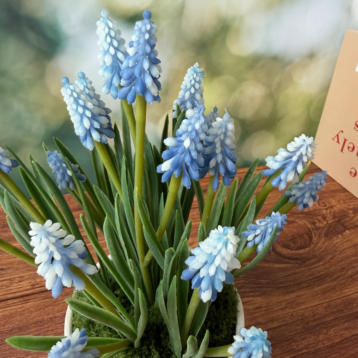 SE0009 (6) - Artificial Light Blue Muscari Arrangement