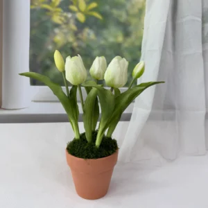 SE0018 (2) profile - Artificial White & Green Tulip Arrangement
