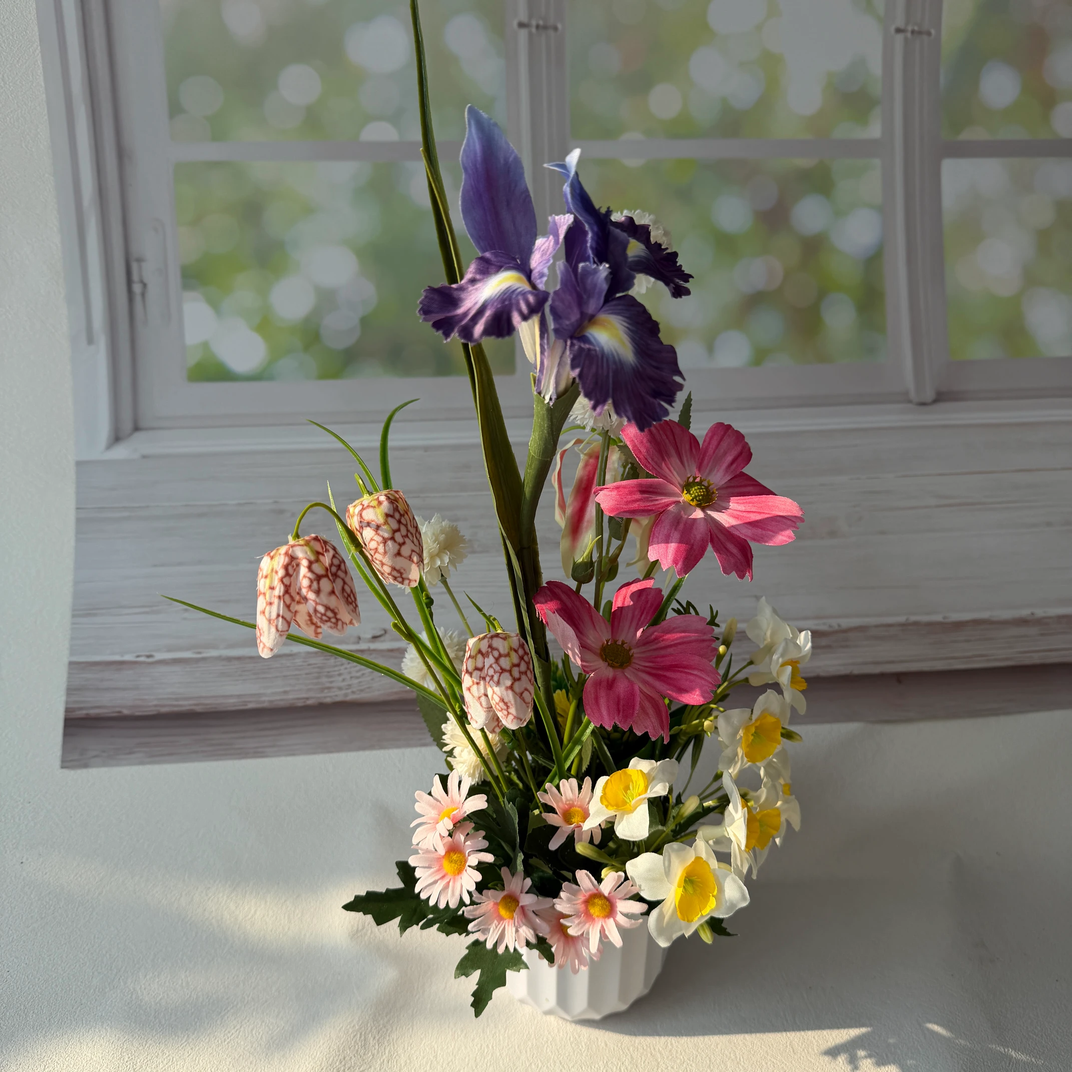 SE0028 (3) - Spring Iris