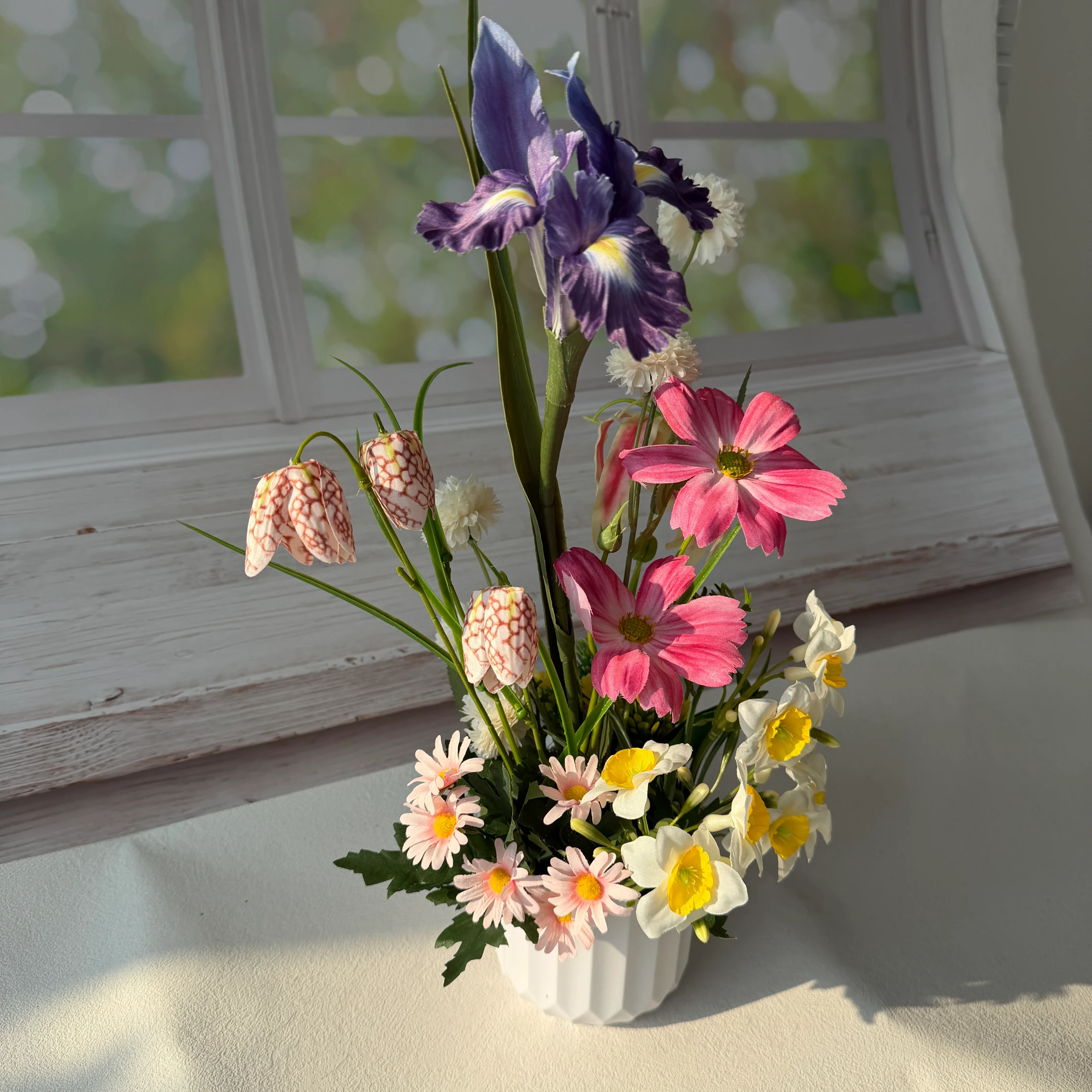 SE0028 (6) profile - Spring Iris