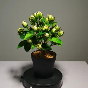 ZH0019 (6) profile - Artificial White Flower Bud Arrangement